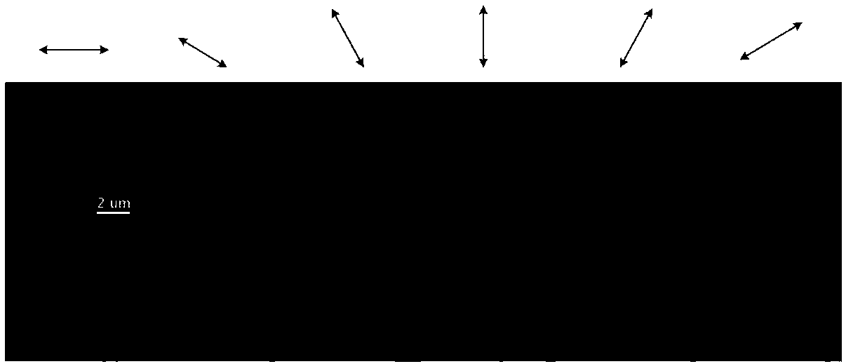 Controllable rotary operation device and controllable rotary operation method of optical tweezers system