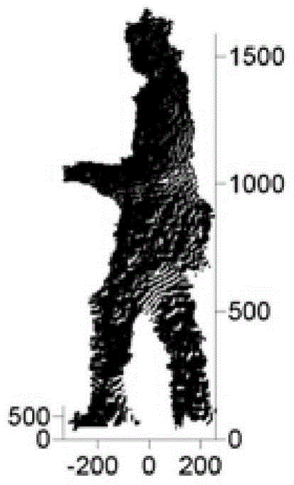 A 3D Gait Recognition Method Based on Occlusion Repair and Local Similarity Matching