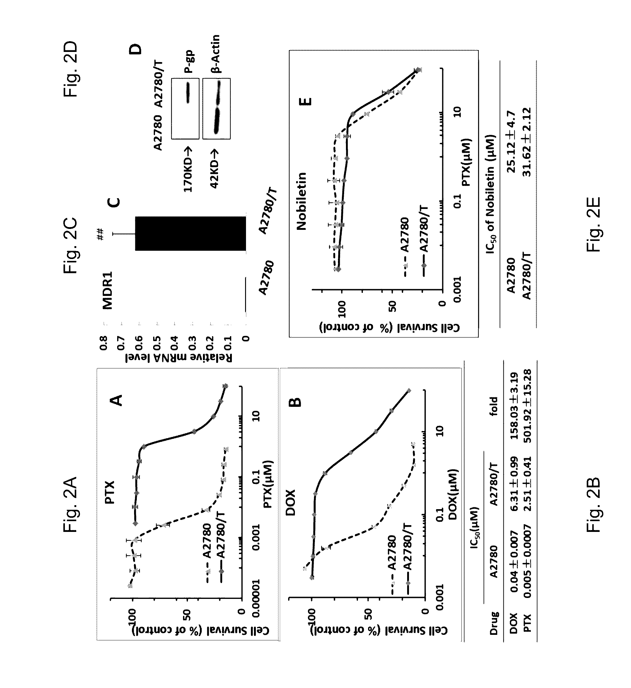 Use of nobiletin in cancer treatment