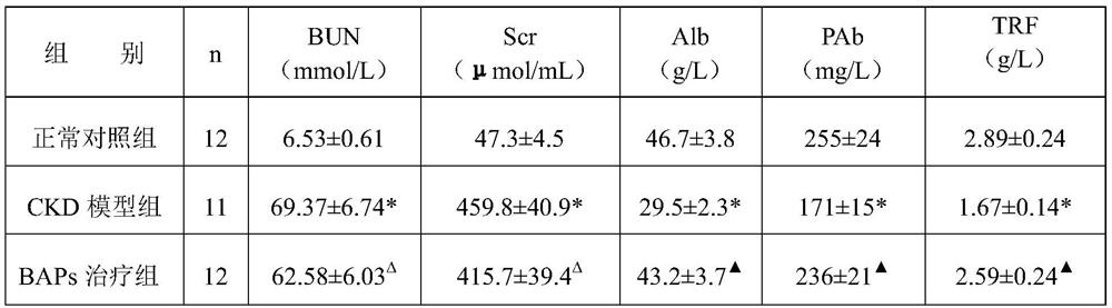 Application of bioactive peptides extracted from human hair in preparation of therapeutic drug for improving protein metabolism of chronic kidney disease, and drug