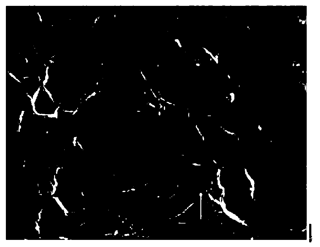 Preparation method of patterned graphene conductive thin film