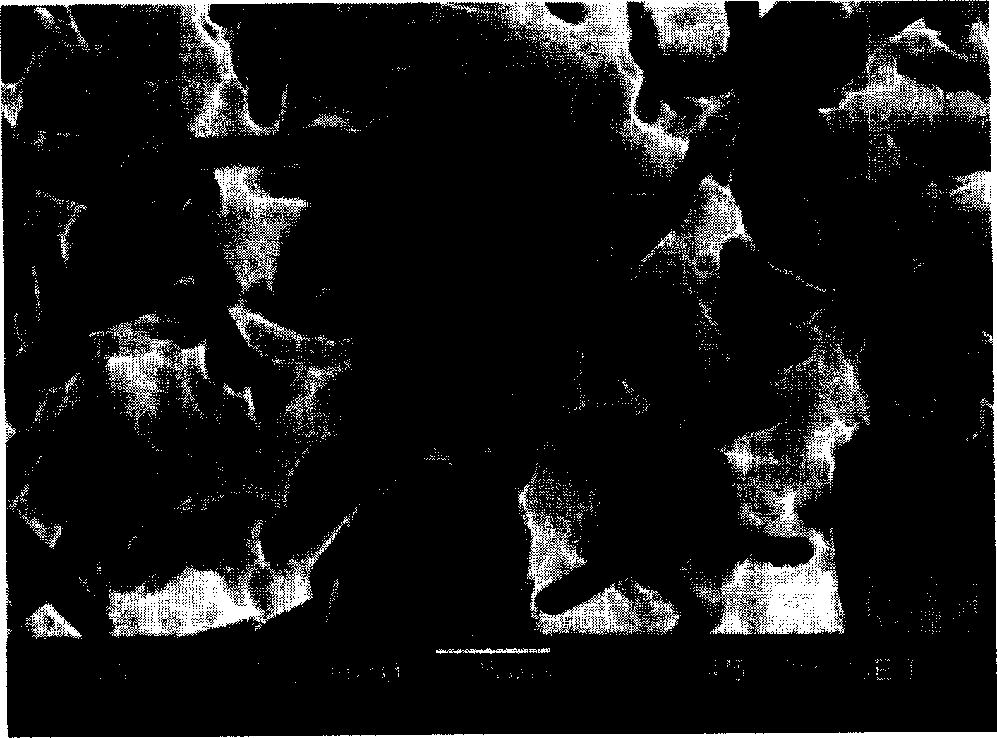 Acid corrosion solution for preparing multicrystal silicon pile surface and its using method