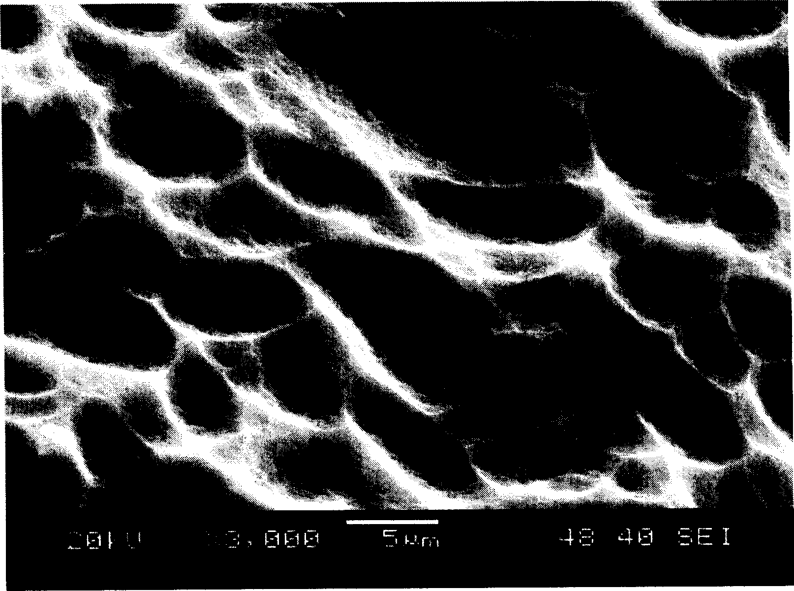 Acid corrosion solution for preparing multicrystal silicon pile surface and its using method