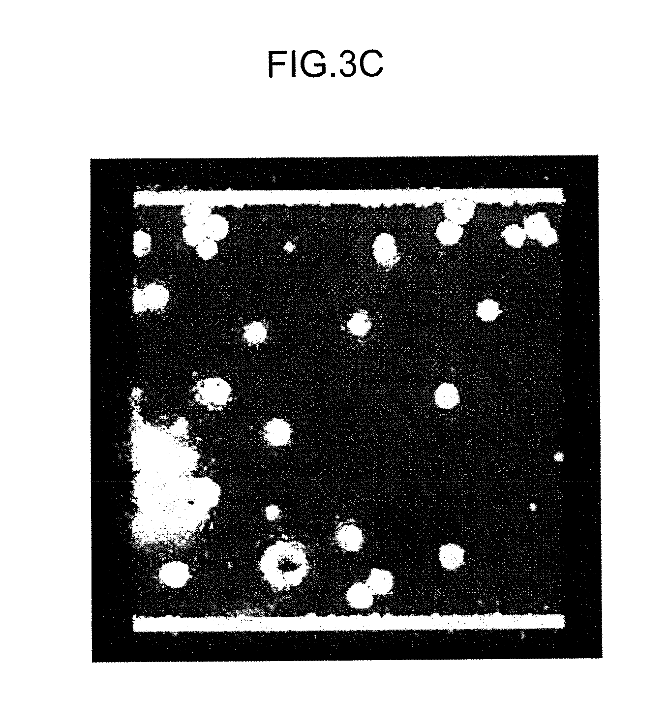 Charge transport film, method for producing the same, and light-emitting element and photoelectric conversion element using the same