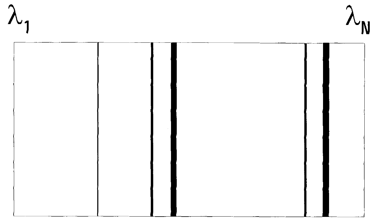 Apparatus and method for enhancing dynamic range of charge coupled device-based spectrograph