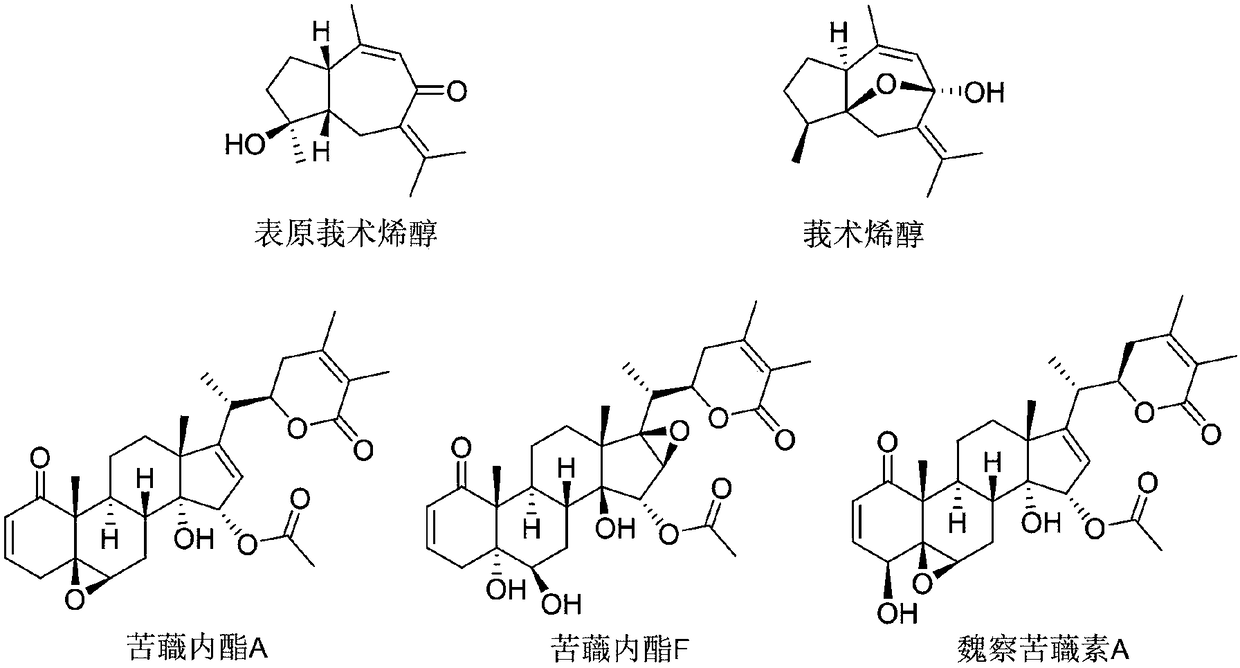 Preparation method of granzyme B activator curcumenol