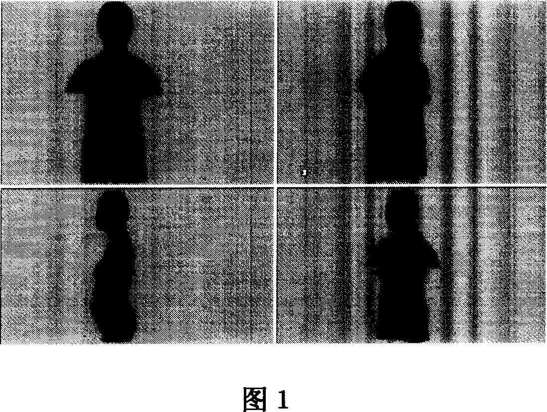 Design method for personalized brassiere cup seam dart in three-dimensional virtual chest form environment