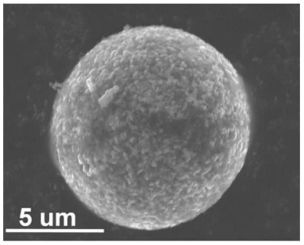 Carbon-coated nickel-manganese binary cobalt-free positive electrode material, preparation method thereof and lithium ion battery