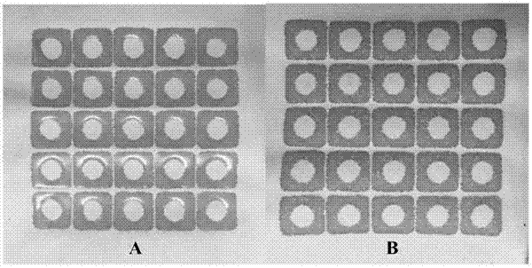 Hydrophobic modification method for paper