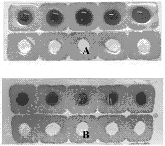 Hydrophobic modification method for paper