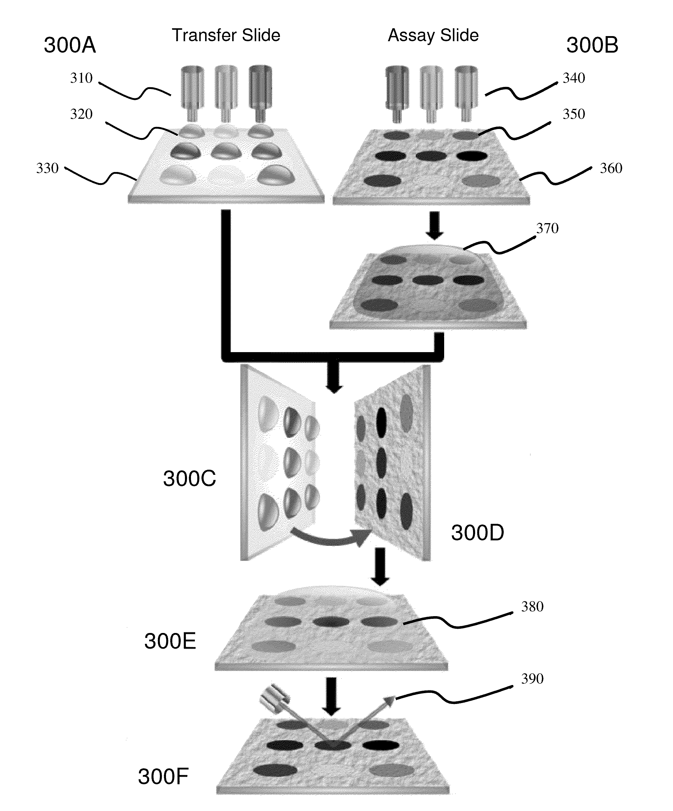 Methods and devices for multiplexed microarray microfluidic analysis of biomolecules