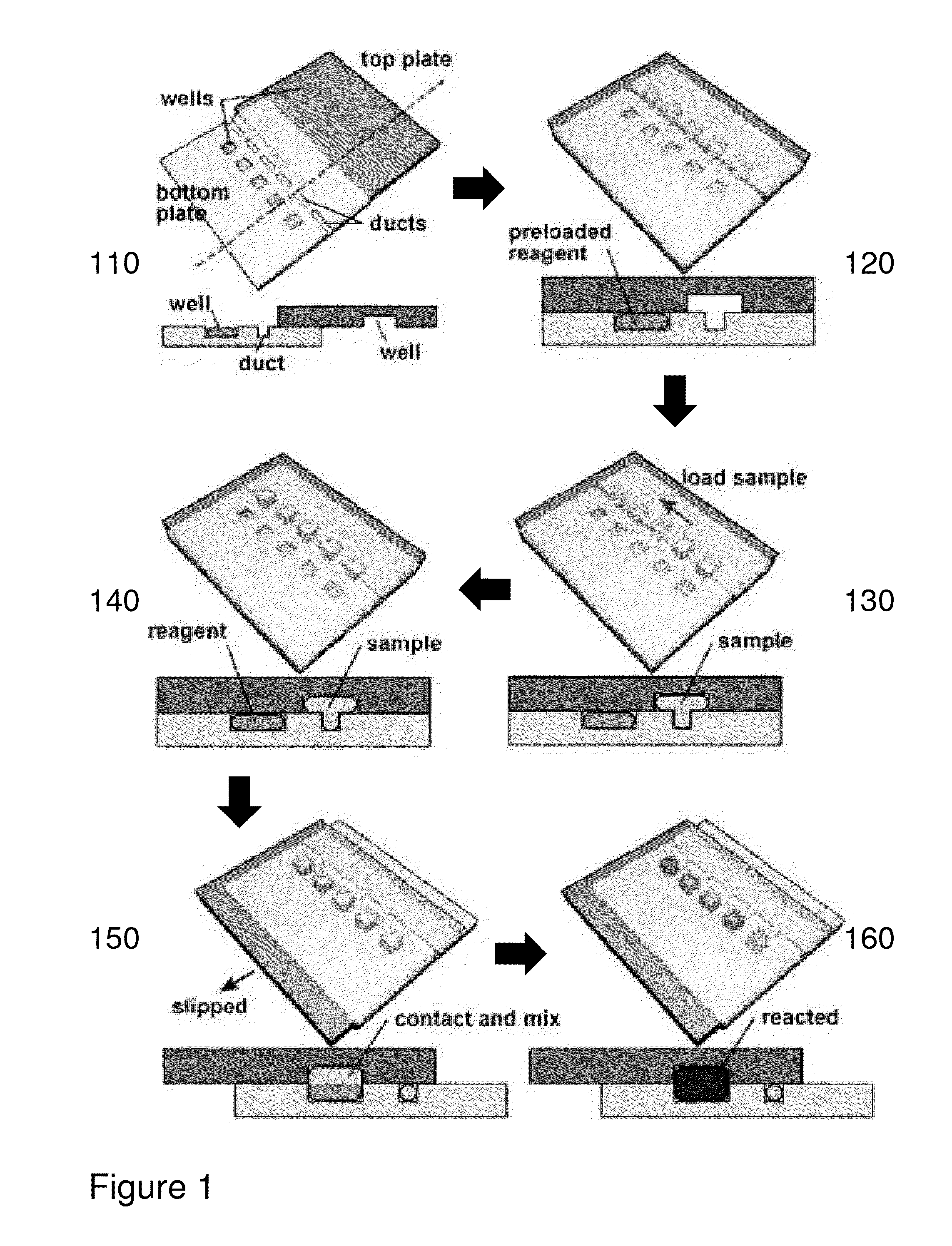 Methods and devices for multiplexed microarray microfluidic analysis of biomolecules