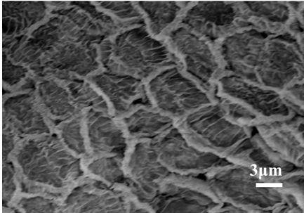 Preparation method of two-dimensional porous Co3O4-ZnO composite nanosheet