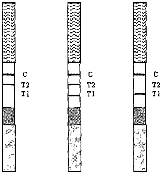 Fourth-generation HIV (Human Immunodeficiency Virus) antibody antigen test paper, preparation method and application thereof