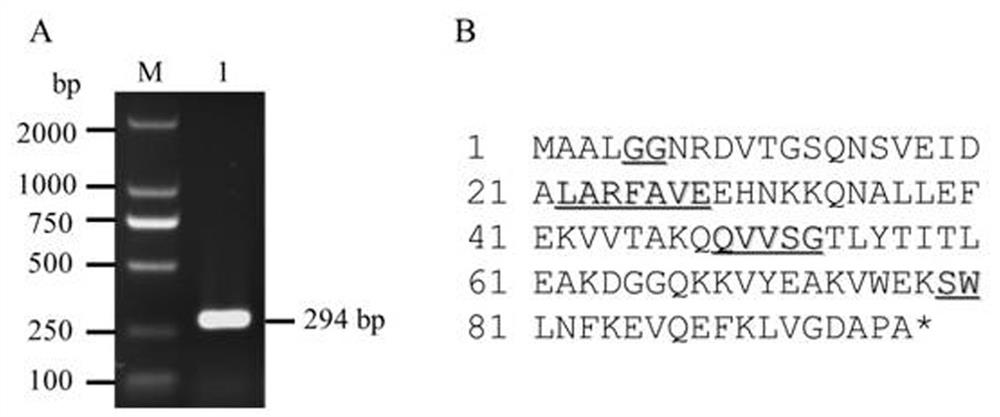 Soybean gmcys20 gene and its application