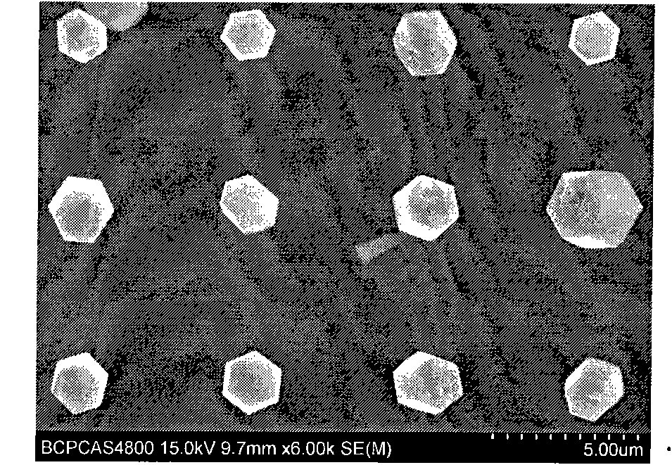 Method for preparing ZnO nanorod/microrod crystals with accurate controllable growth position on substrate