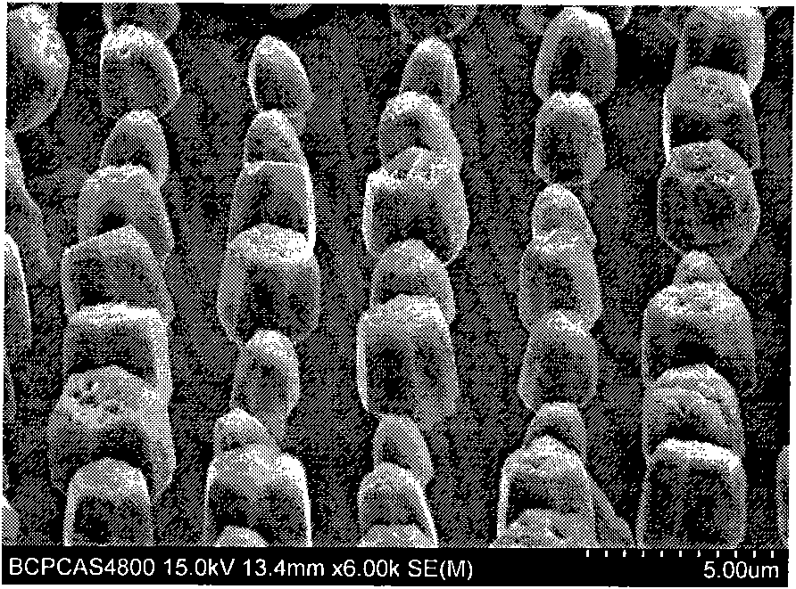 Method for preparing ZnO nanorod/microrod crystals with accurate controllable growth position on substrate