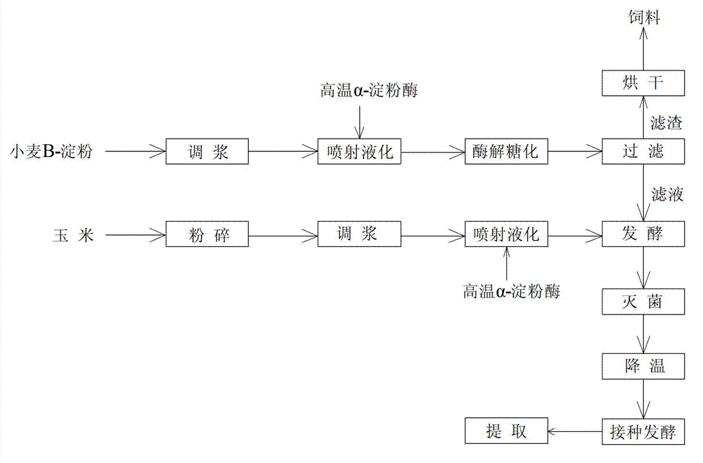 Method for production of citric acid through fermentation of wheat B-starch