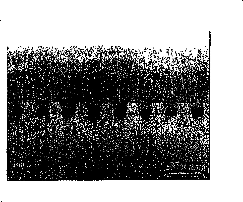 Lattice-mismatched semiconductor structures with reduced dislocation defect densities related methods for device fabrication