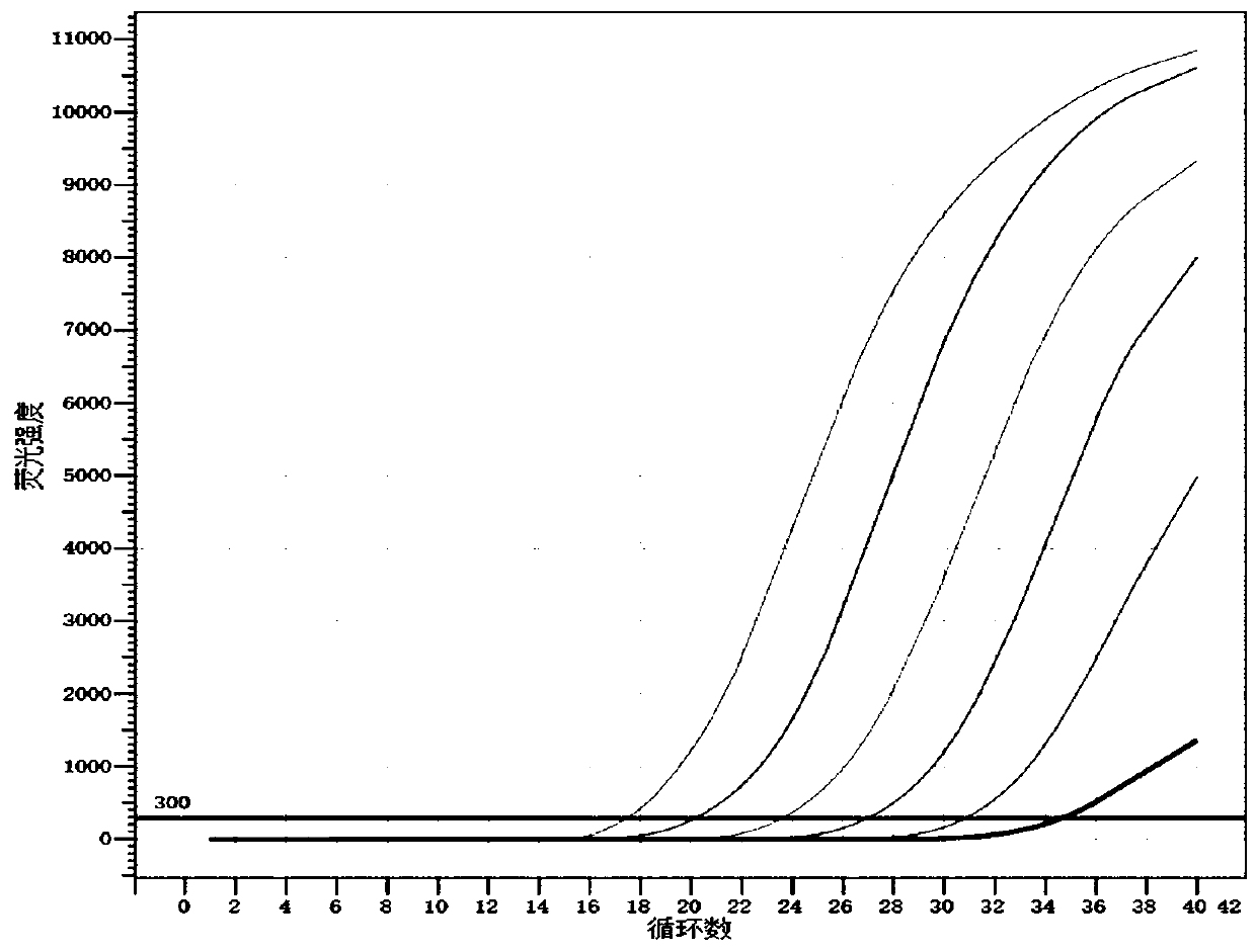 Nucleic acid composition and kit for detecting S gene of novel coronavirus and production method of kit