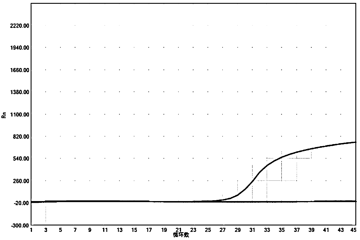 Nucleic acid composition and kit for detecting S gene of novel coronavirus and production method of kit