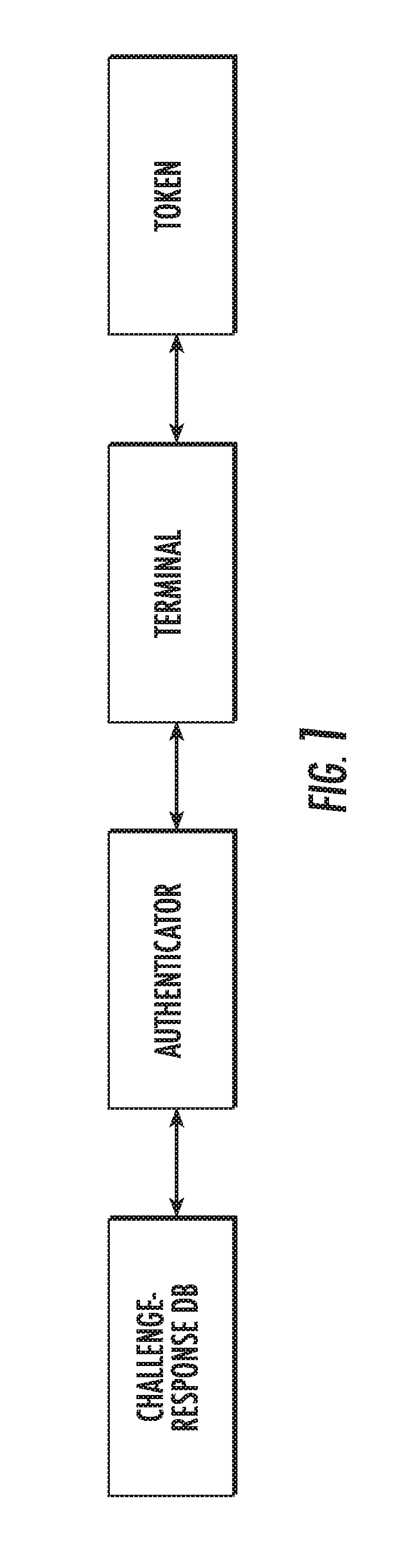 System and method for physical one-way function authentication via chaotic integrated photonic resonators