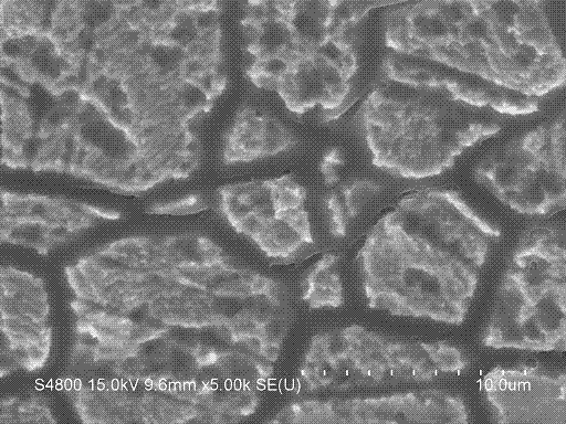 A kind of method for preparing nickel phosphide/graphene composite film material