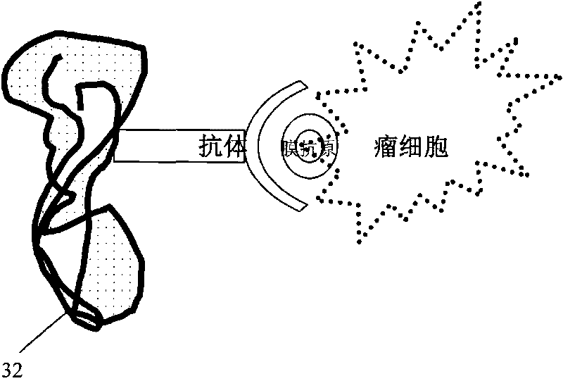 Instrument for removing tumor cells in circulating blood