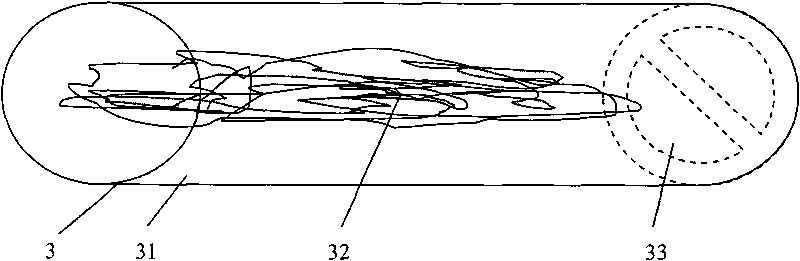 Instrument for removing tumor cells in circulating blood