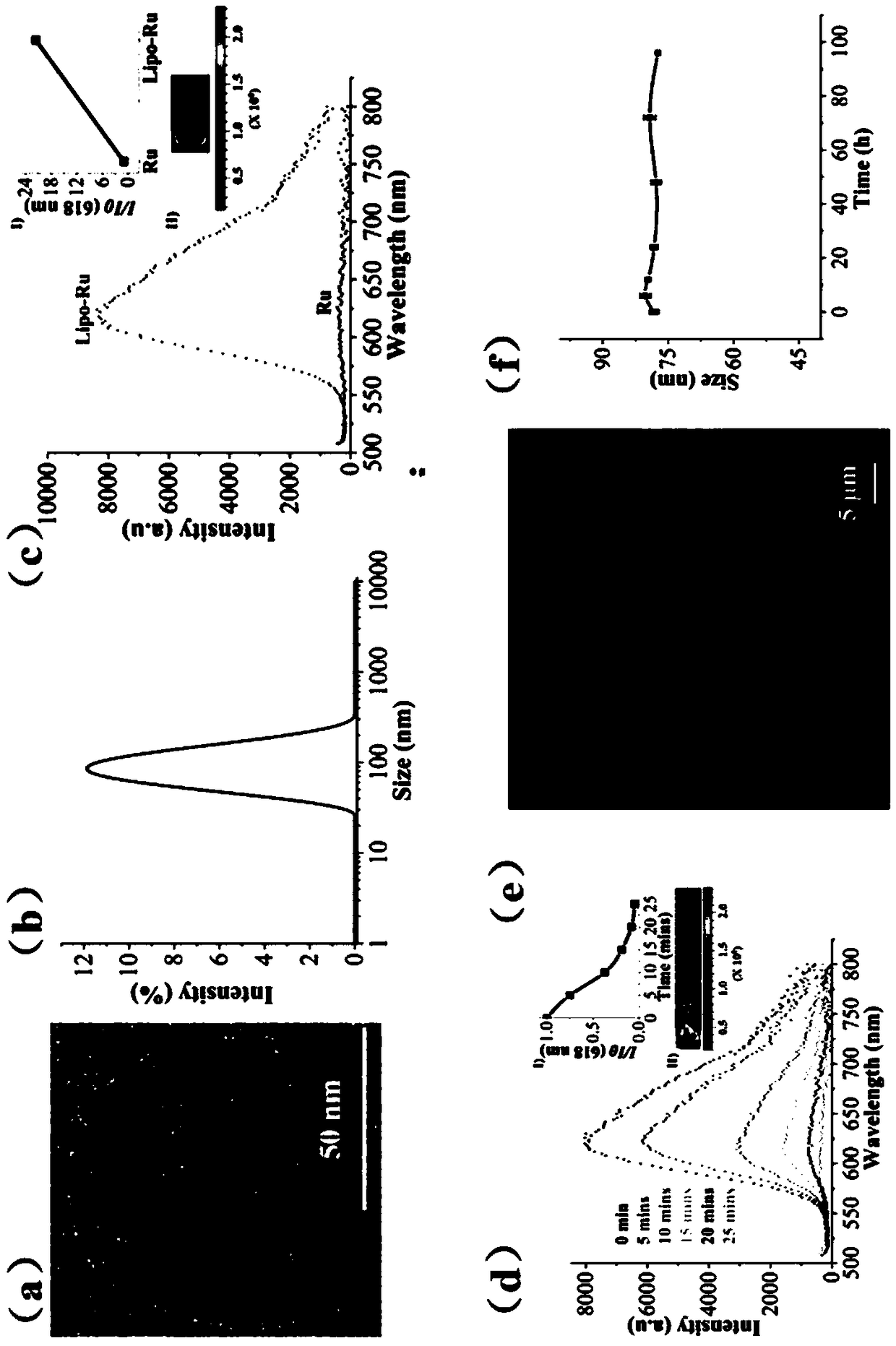 Lipidosome encapsulated ruthenium polypyridine complex and application thereof