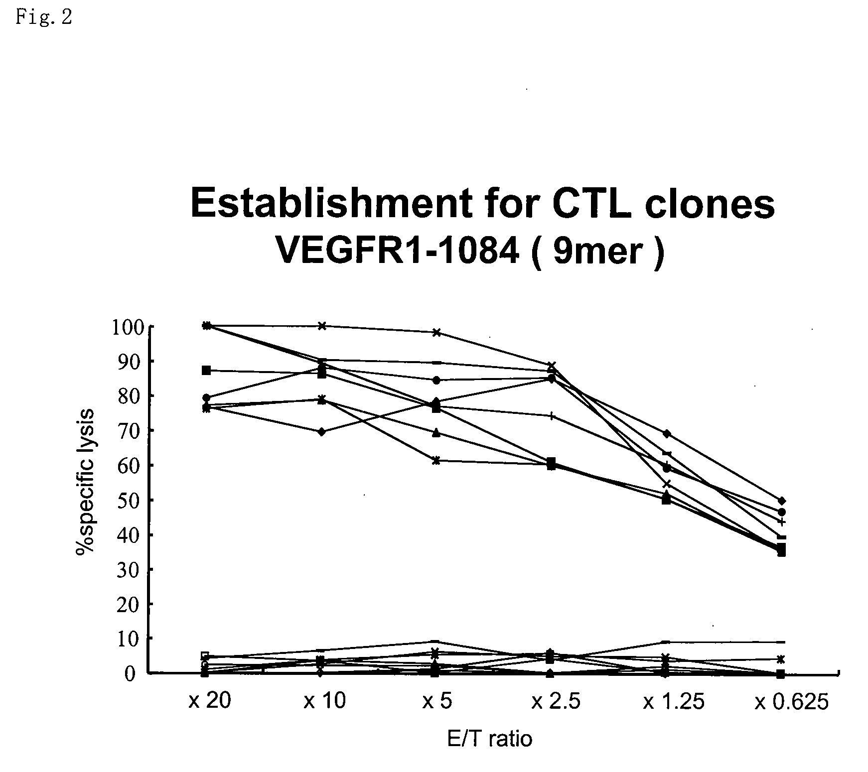 Epitope peptides derived from vascular endothelial growth factor receptor 1 and vaccines containing these peptides