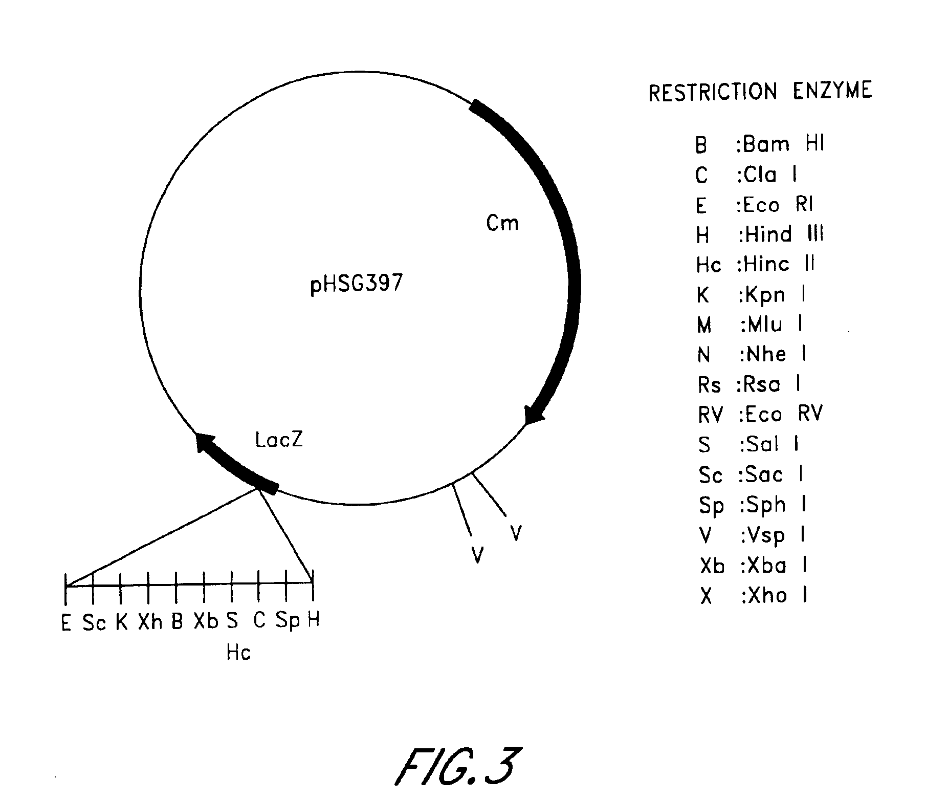 Plasmid vector comprising a retroviral integrase gene and an integrase recognition region