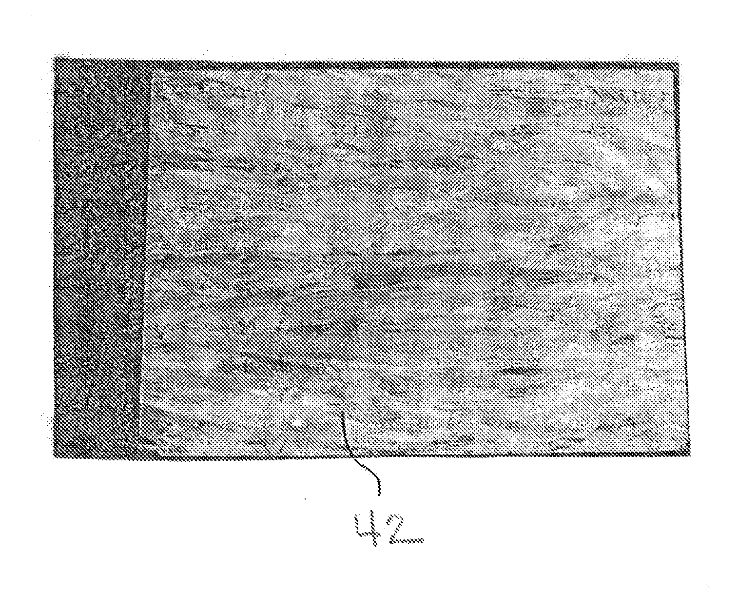 Oriented Sorghum Strand Boards made with Sorghum Stalks and Processes for Making Same