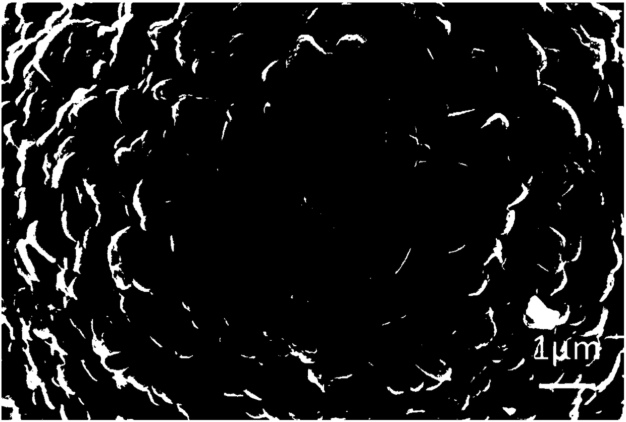 Modified high nickel ternary positive electrode material and its preparation method and lithium ion battery