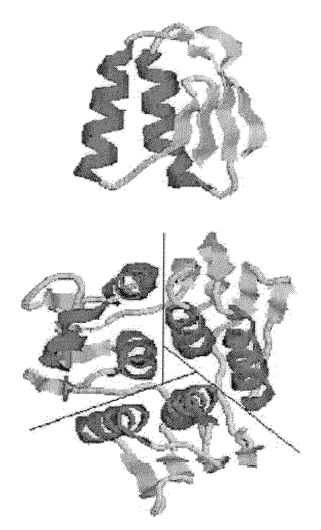 Reconstitution of 5-enolpyruvylshikimate-3-phosphate synthase activity by fragment complementation