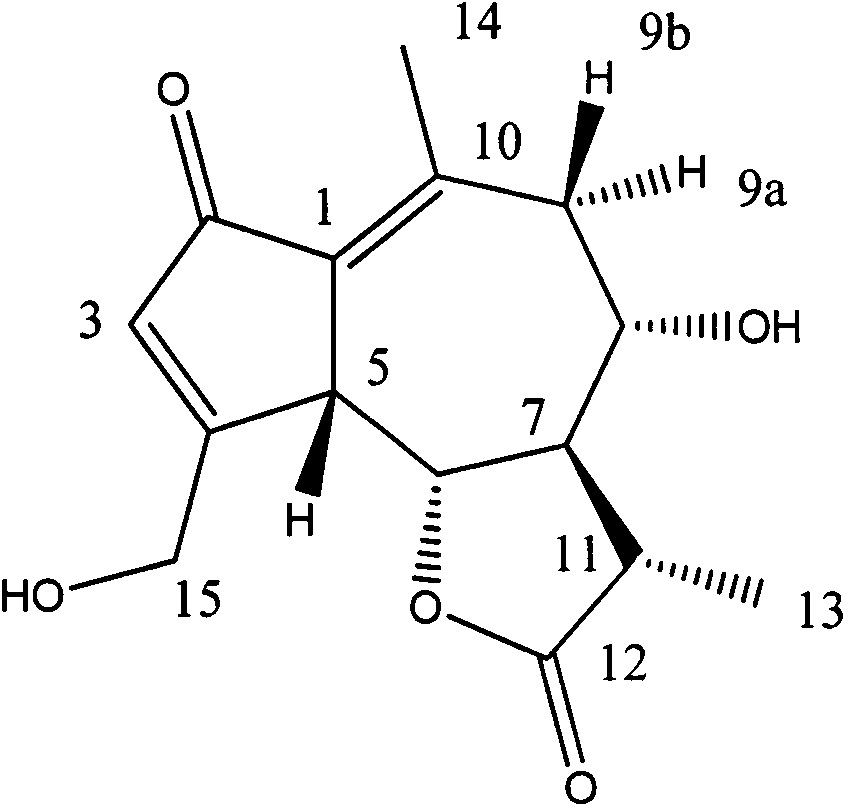 Method for extracting C15H18O5 from Cichorium glandulosum Boiss.et Hout and application of C15H18O5