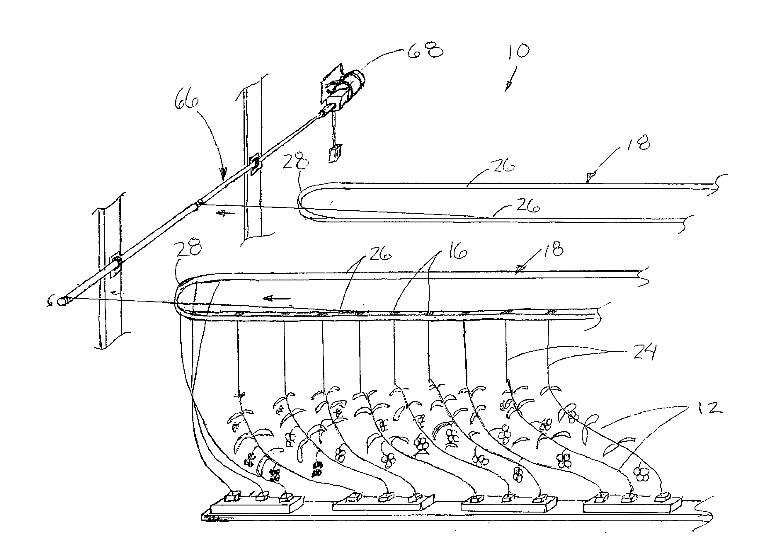 Vine Crop Supporting System