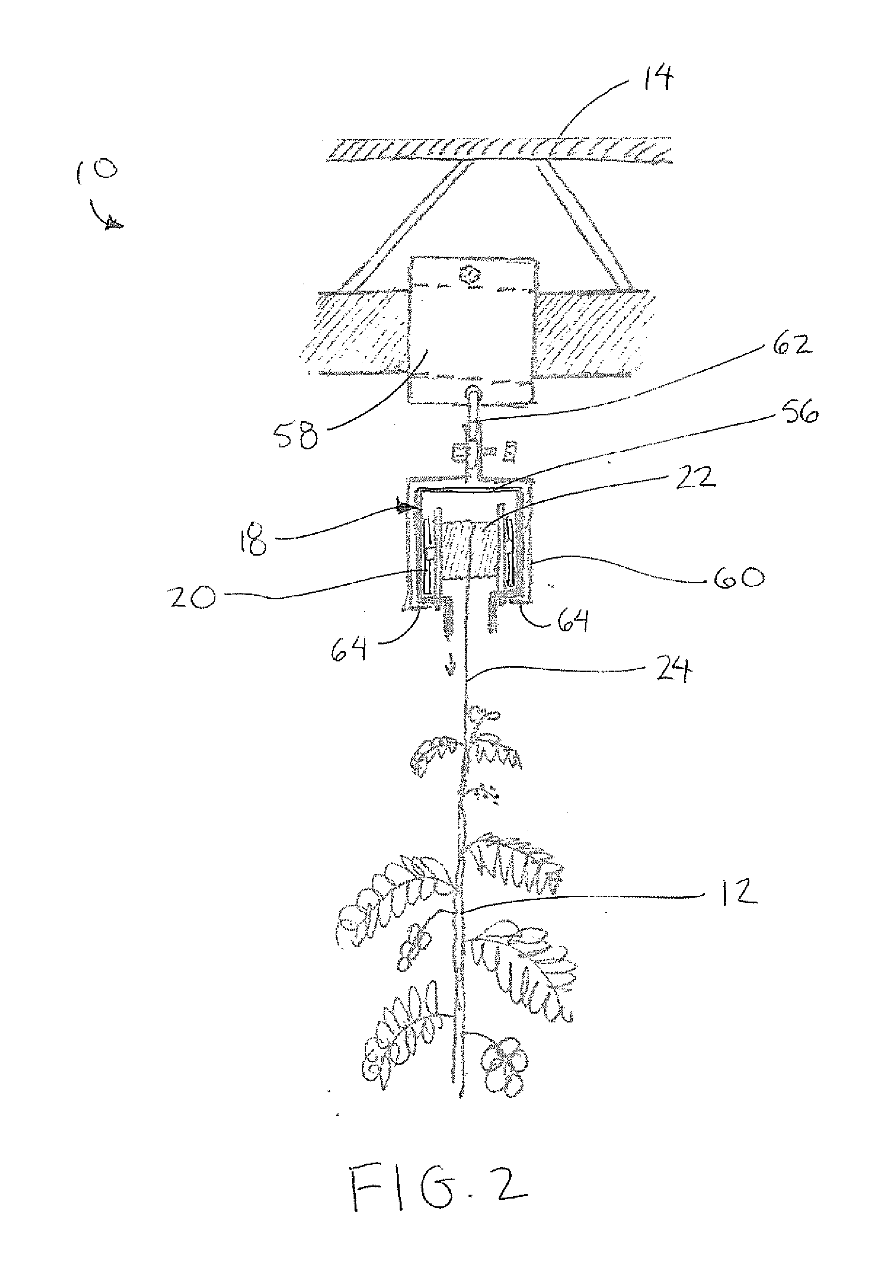 Vine Crop Supporting System