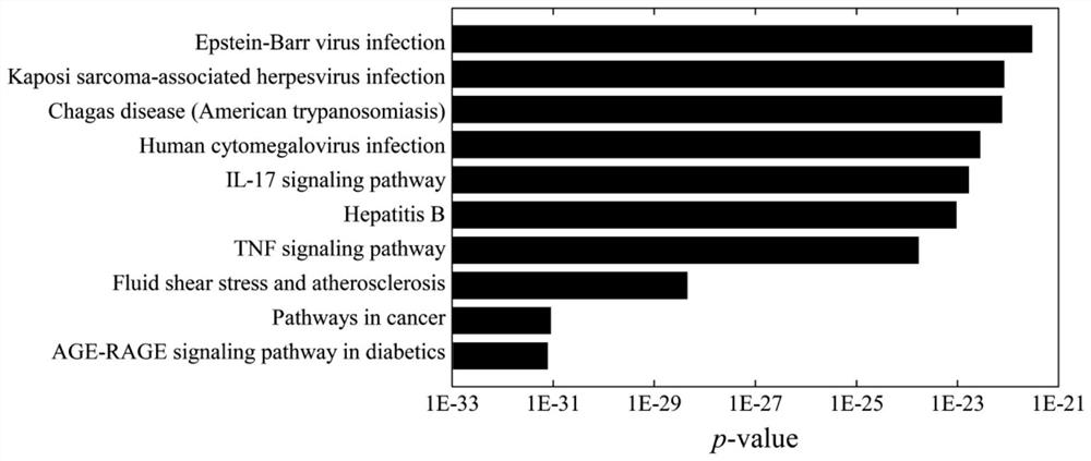 A drug discovery method for anti-COVID-19 based on network characterization