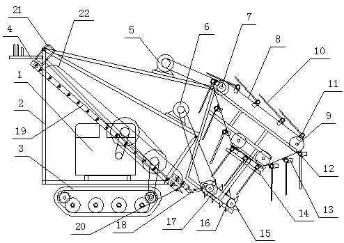 Leaf vegetable harvester capable of harvesting leaf vegetables with roots