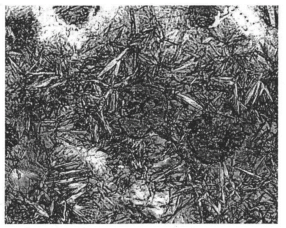 High-hardness alloyed nodular iron die material and preparation method thereof