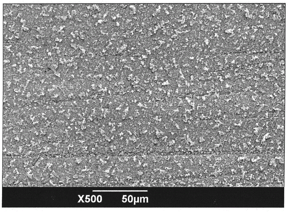 Replacement reaction method for preparation of silver dendritic super-hydrophobic surface