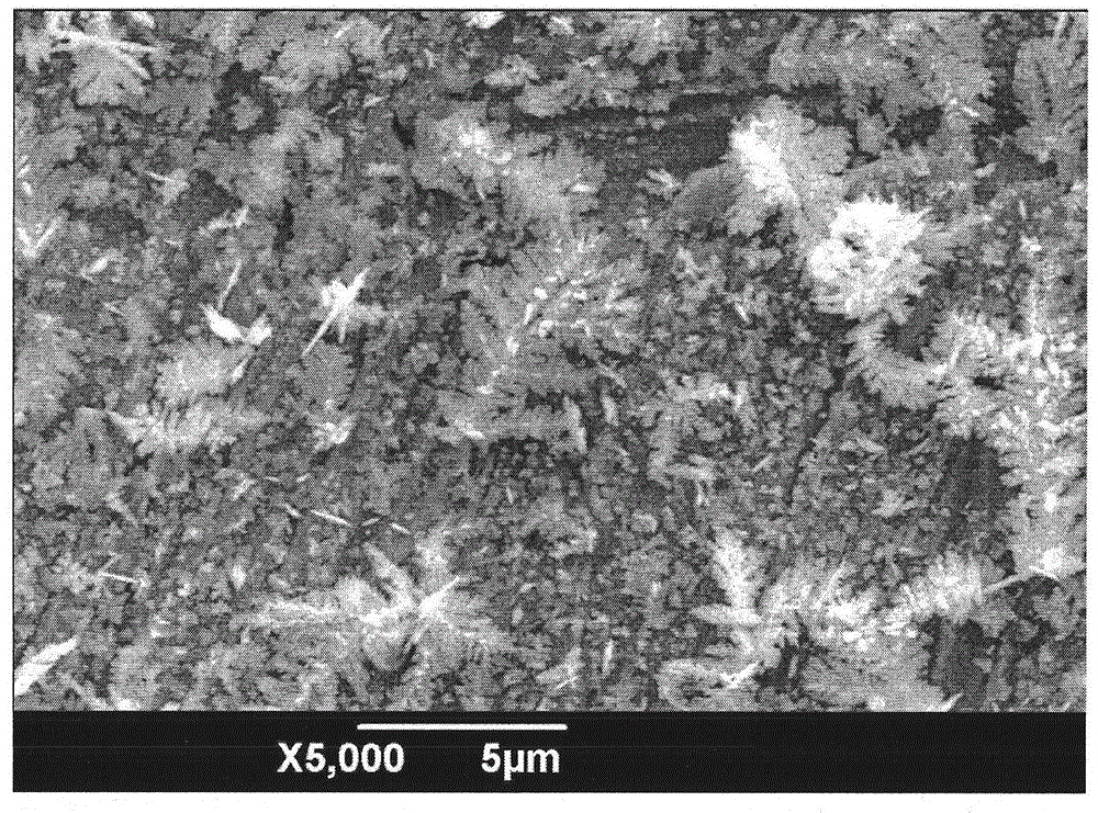 Replacement reaction method for preparation of silver dendritic super-hydrophobic surface