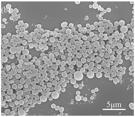 Preparation method of camellia seed shell based carbon microspheres with high specific surface area