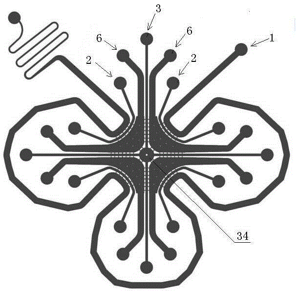 A cell co-culture chip