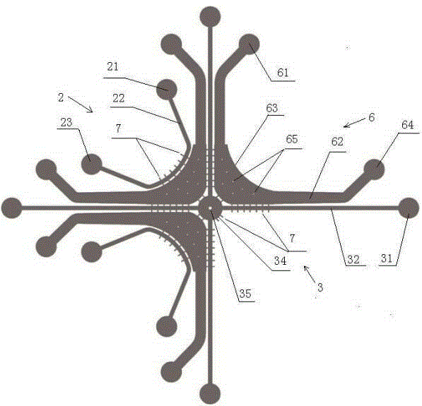 A cell co-culture chip