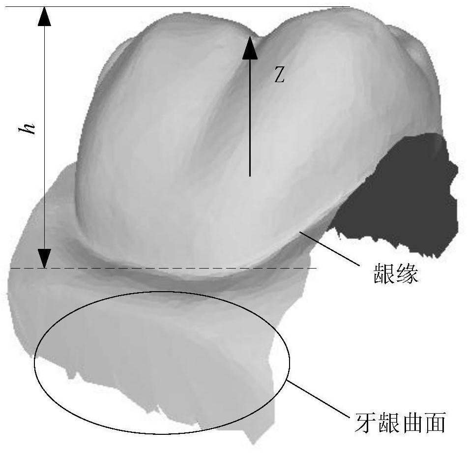 A Measuring Method of Form and Position Parameters of Digital Denture