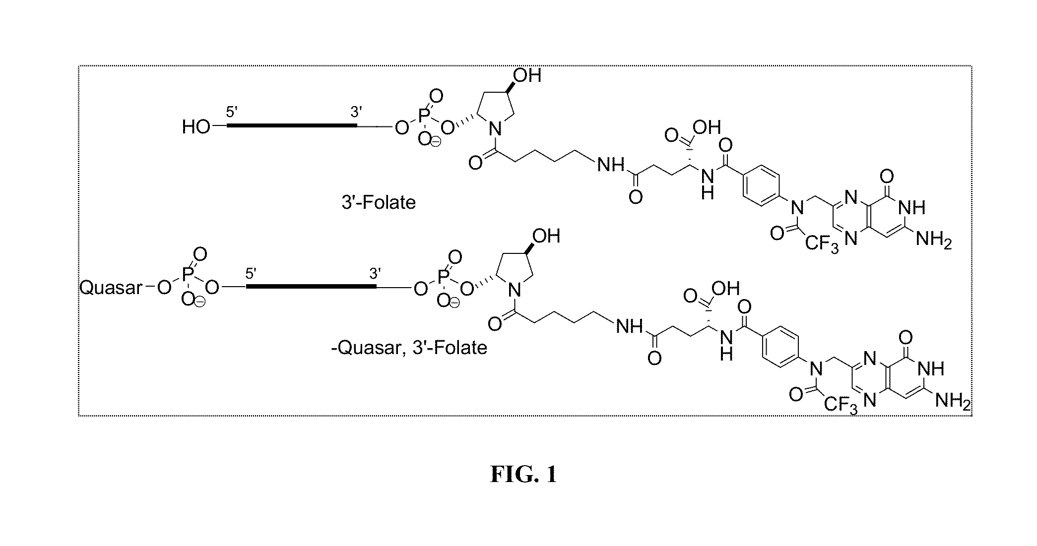 Folate Conjugates