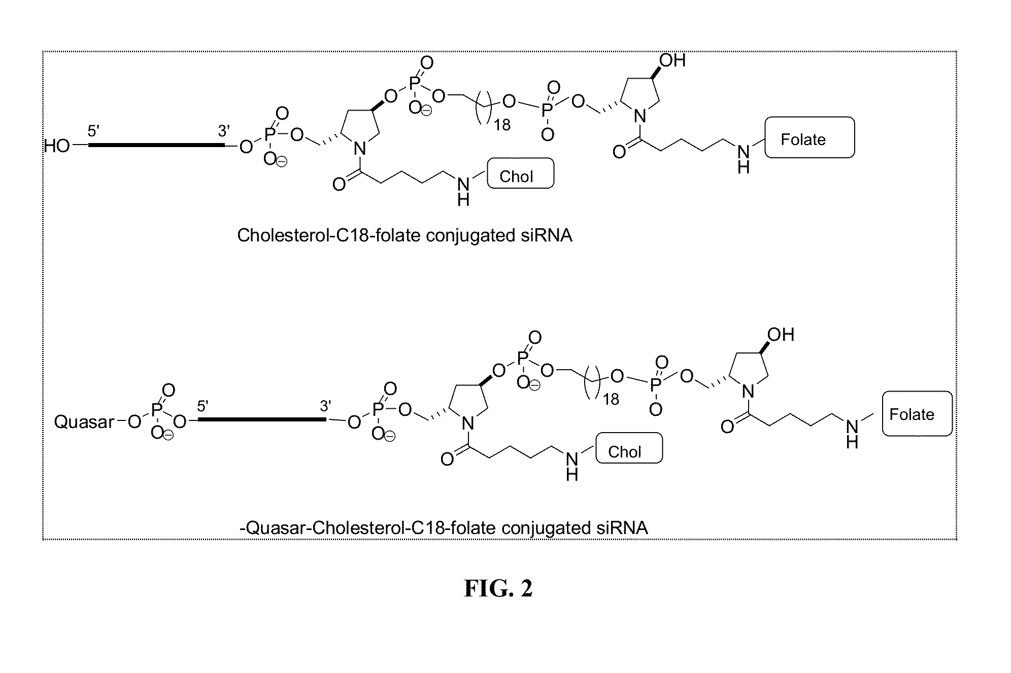 Folate Conjugates