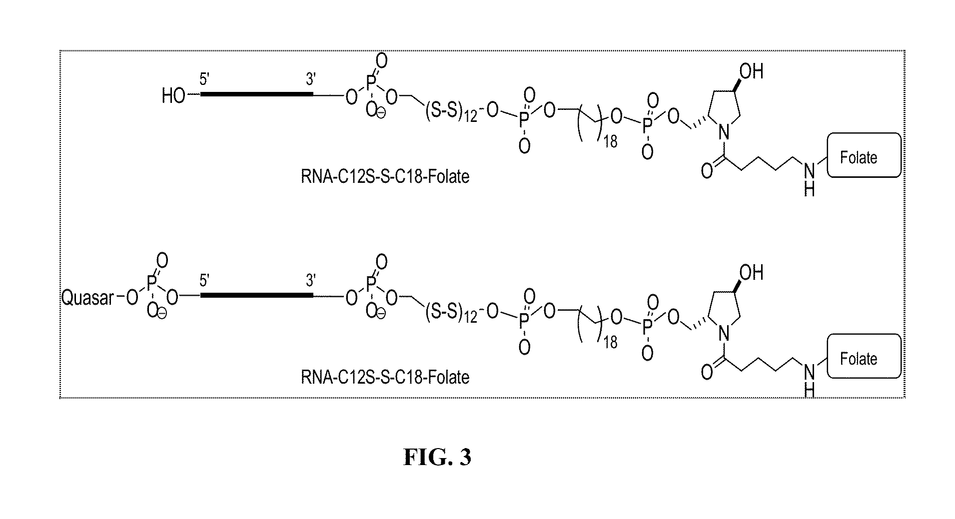 Folate Conjugates